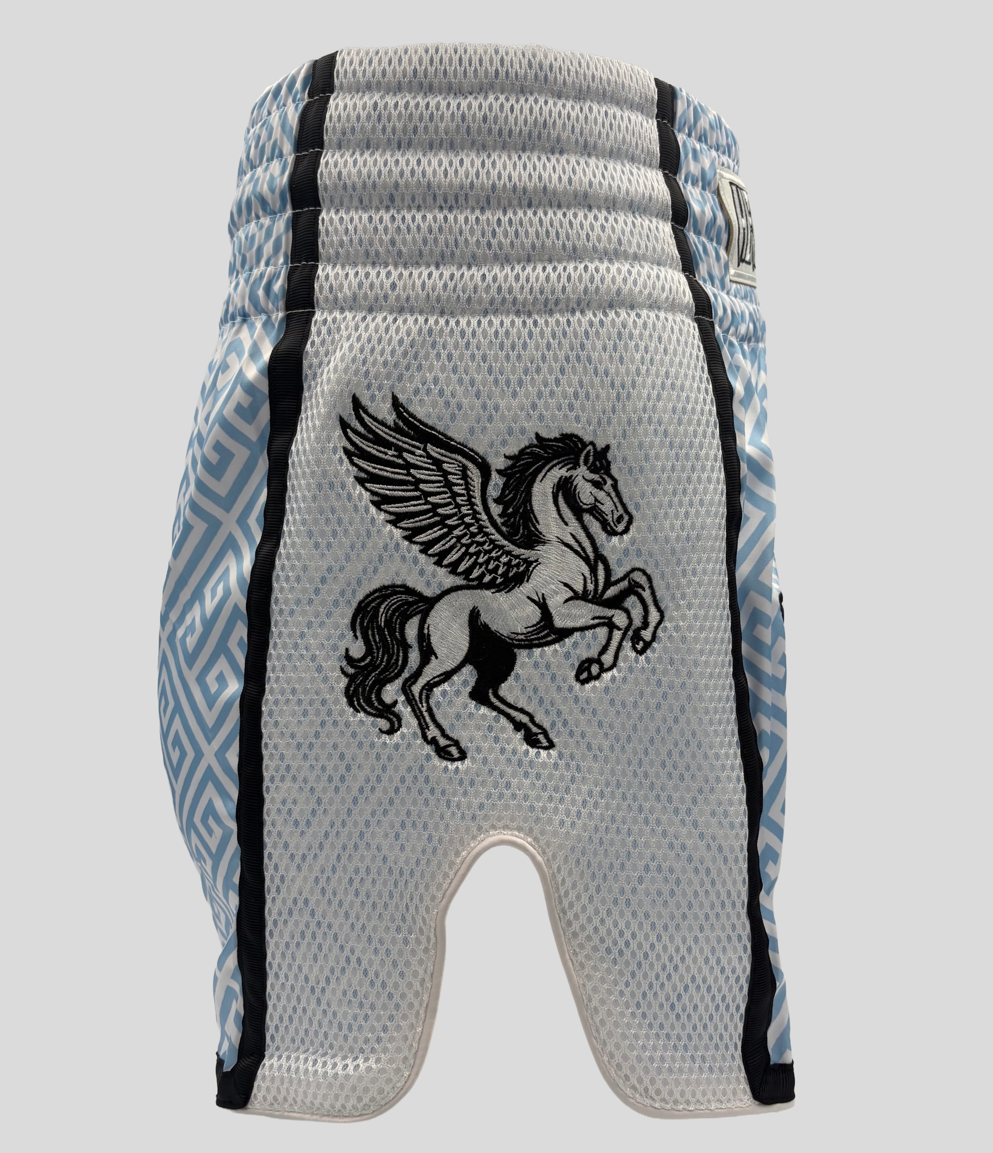 Olympus Shorts
