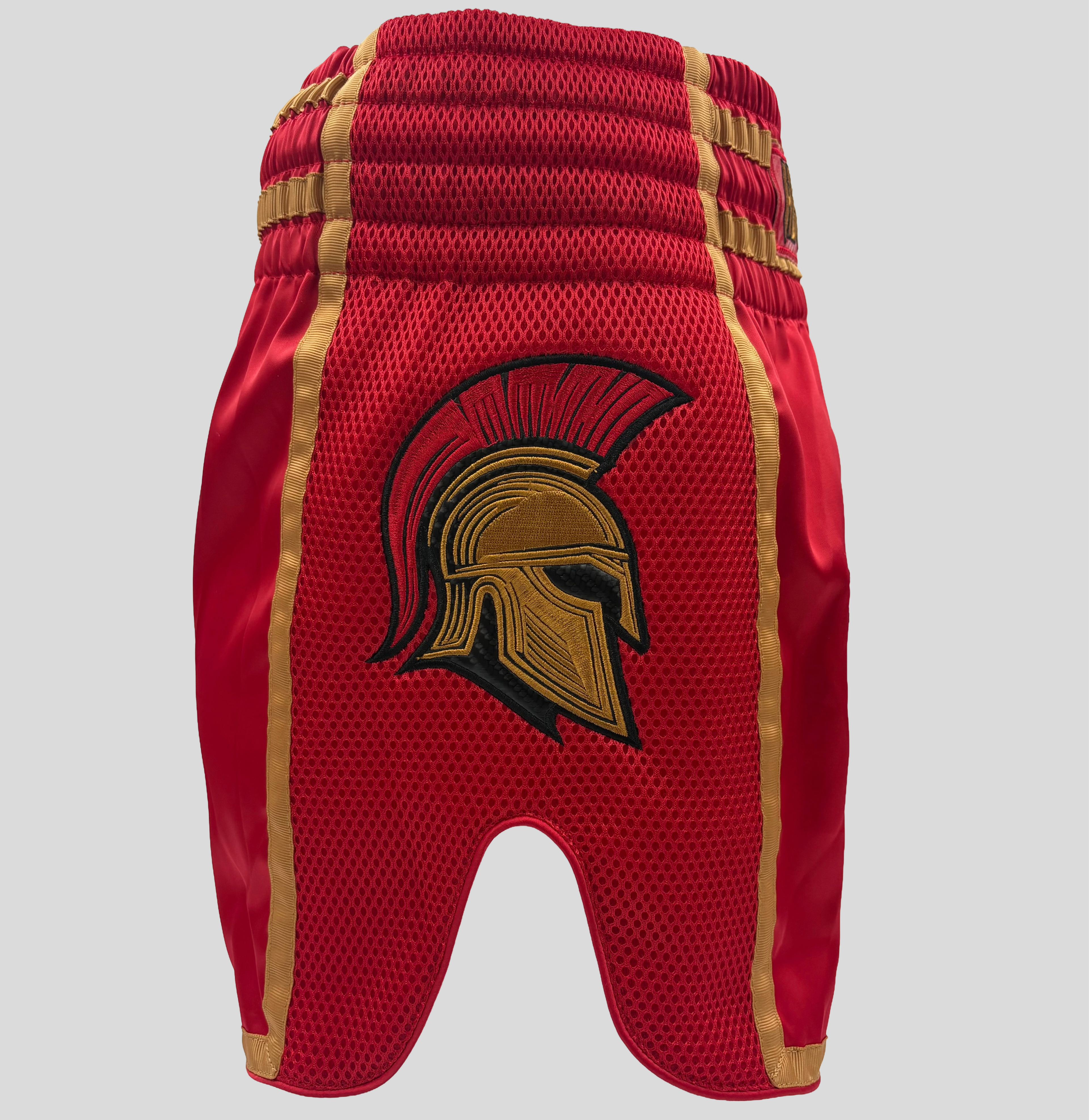 Spartan Shorts